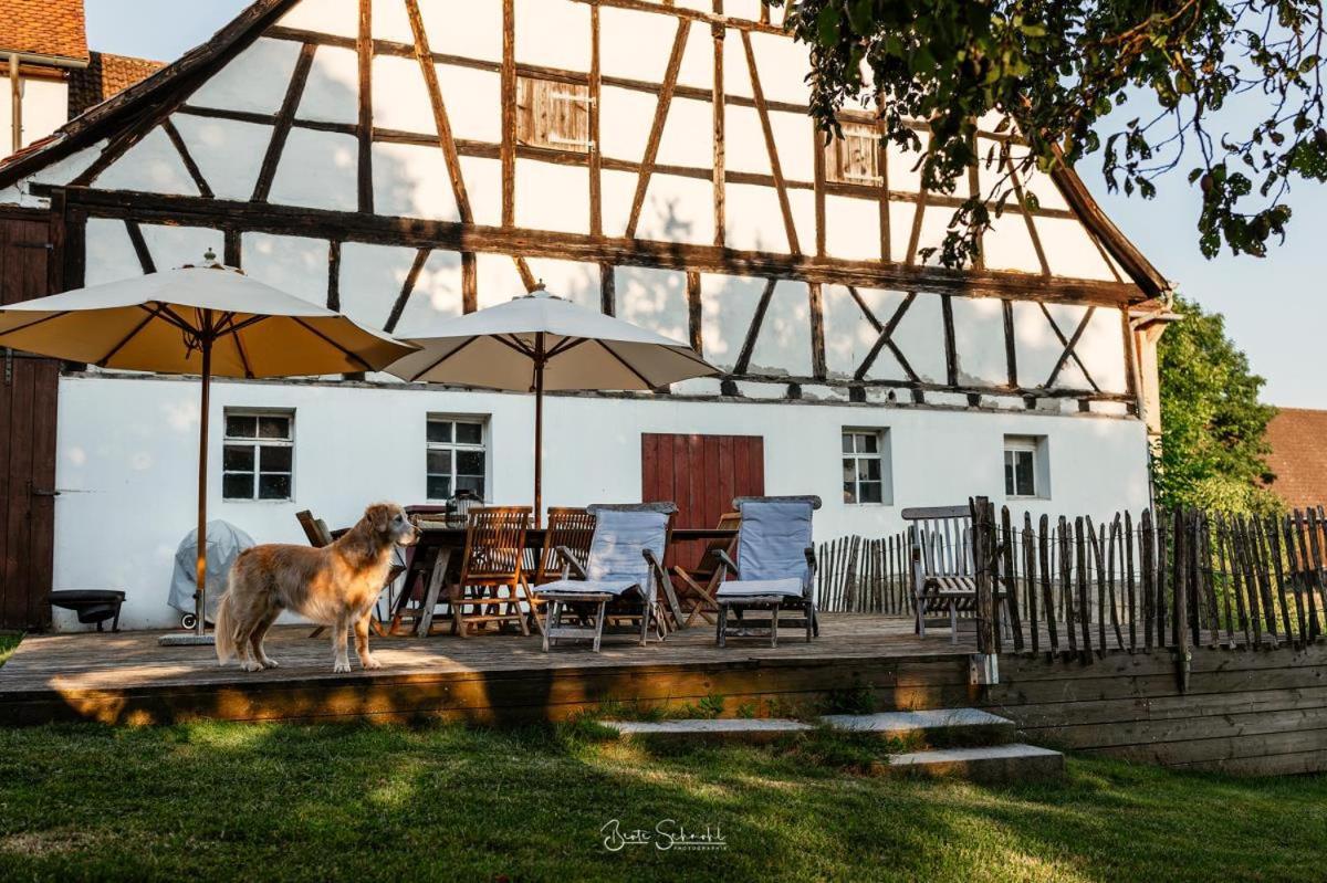 Ferienhaus Rote Sau Herrentierbach المظهر الخارجي الصورة
